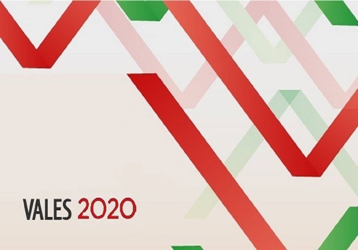 Programa Vales 2020