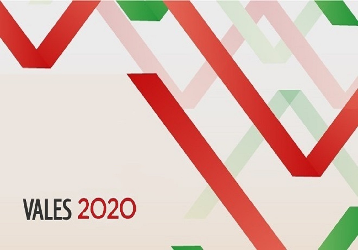 Vales 2020 Programa Vales 2020